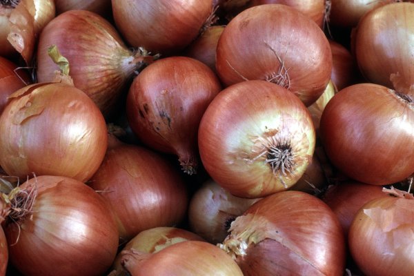 Как зайти на onion сайты через тор